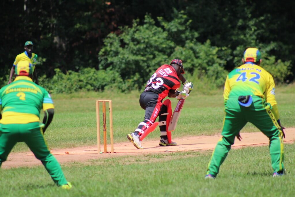 Cricket Day at the Park